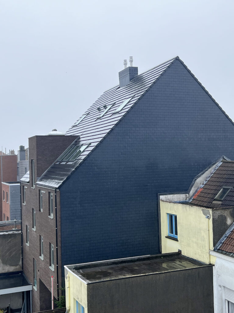 Moderne-gevelbekleding-met-leisteen-complete-gevelrenovatie
